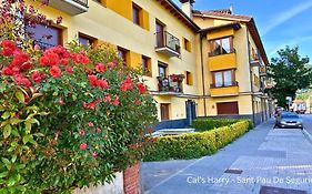 Cal Harrys - La Mejor Casa De Vacaciones En Pyrenees Con Vistas A La Montana